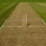 How Many Creases Are There in Cricket